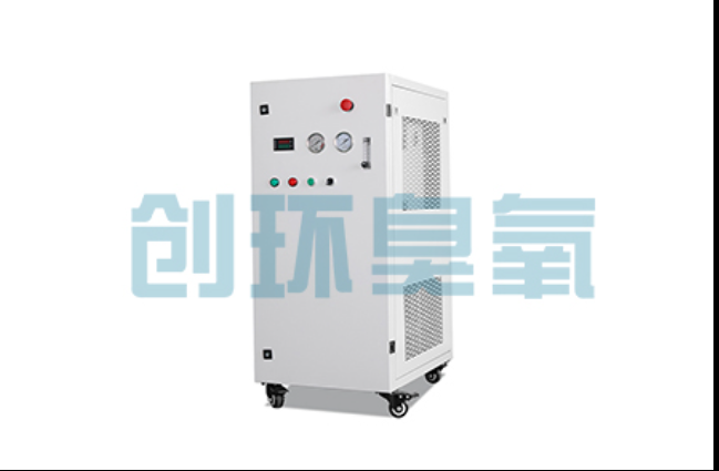 宁夏工厂化养鲈必看：2026年臭氧发生器替代传统消毒的最新方案