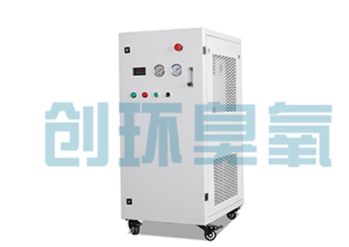 宁夏石斑鱼养殖水质调控完整指南：臭氧发生器配置与操作步骤