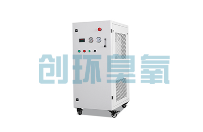 宁夏比传统换水更高效？臭氧发生器在石斑鱼养殖中的水质净化原理解析