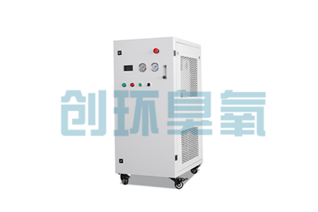 宁夏比传统换水更高效？臭氧发生器在石斑鱼养殖中的水质净化原理解析